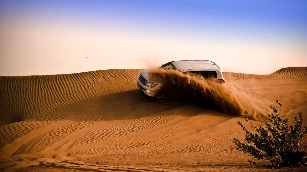 Dubai Desert Safari