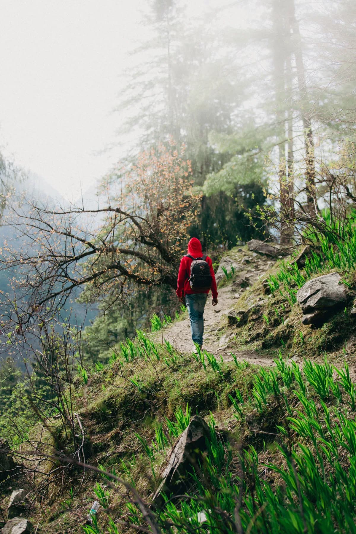 Kheerganga Trek