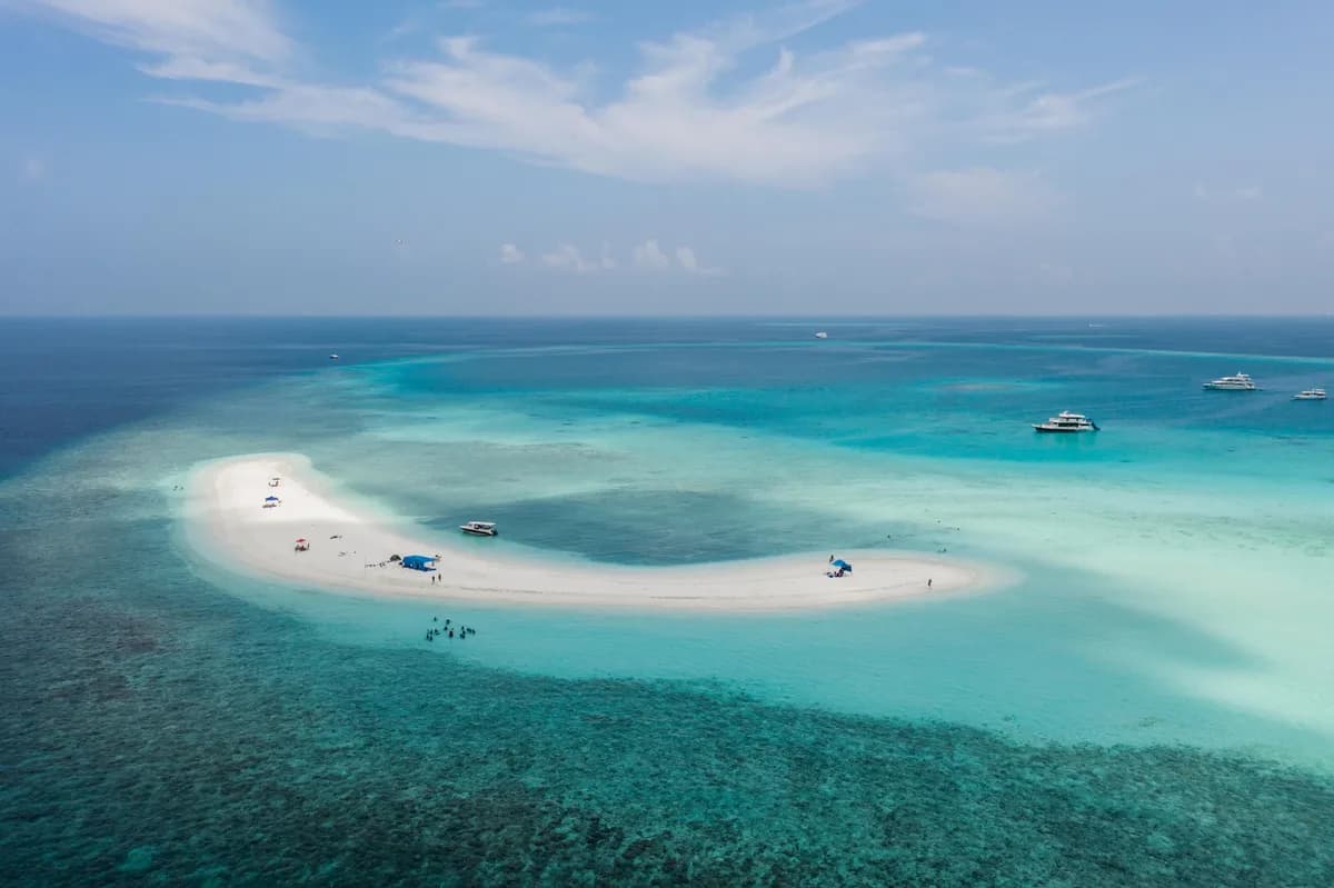 Sandbank Picnic