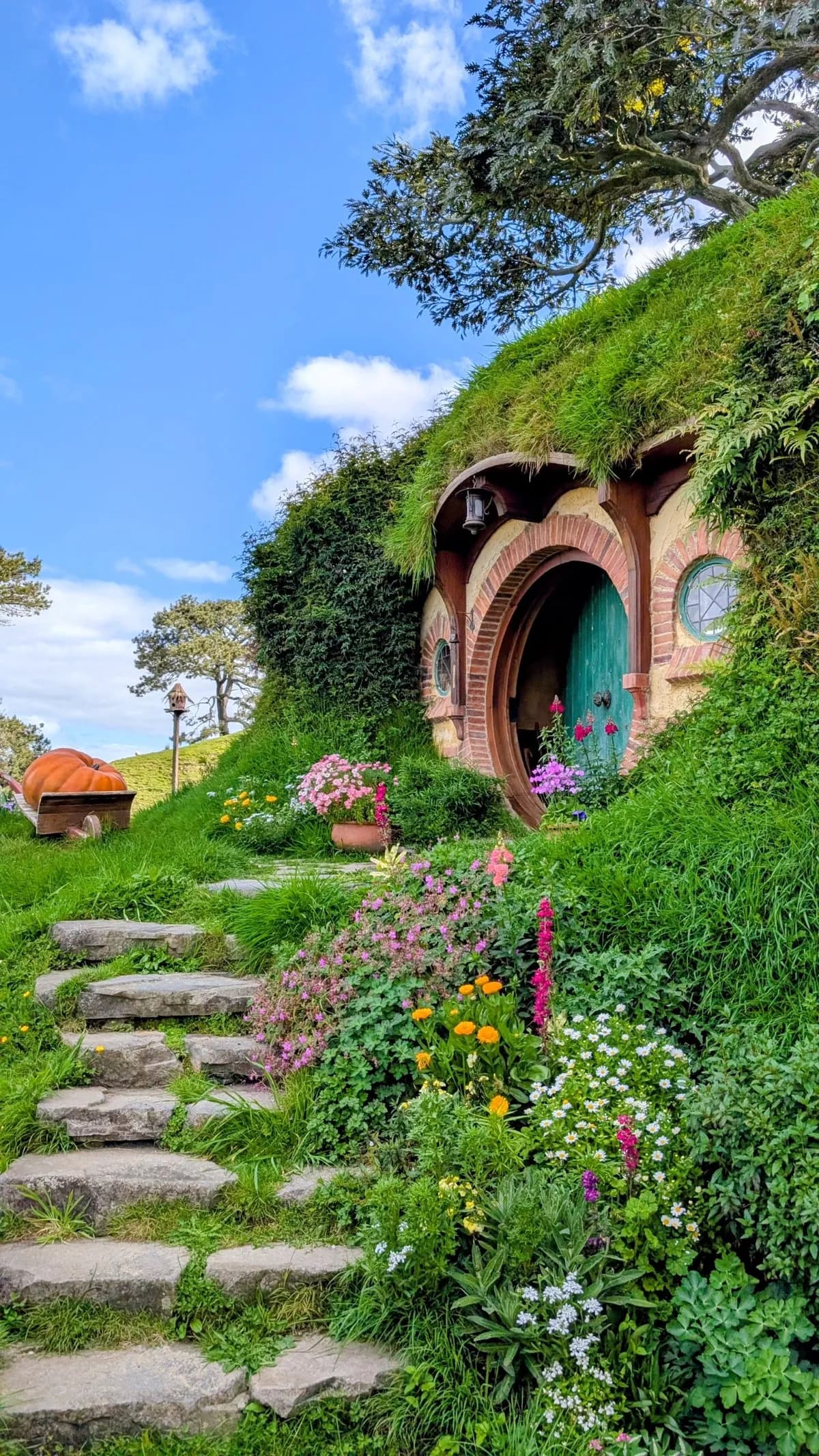Hobbiton Movie Set, Matamata