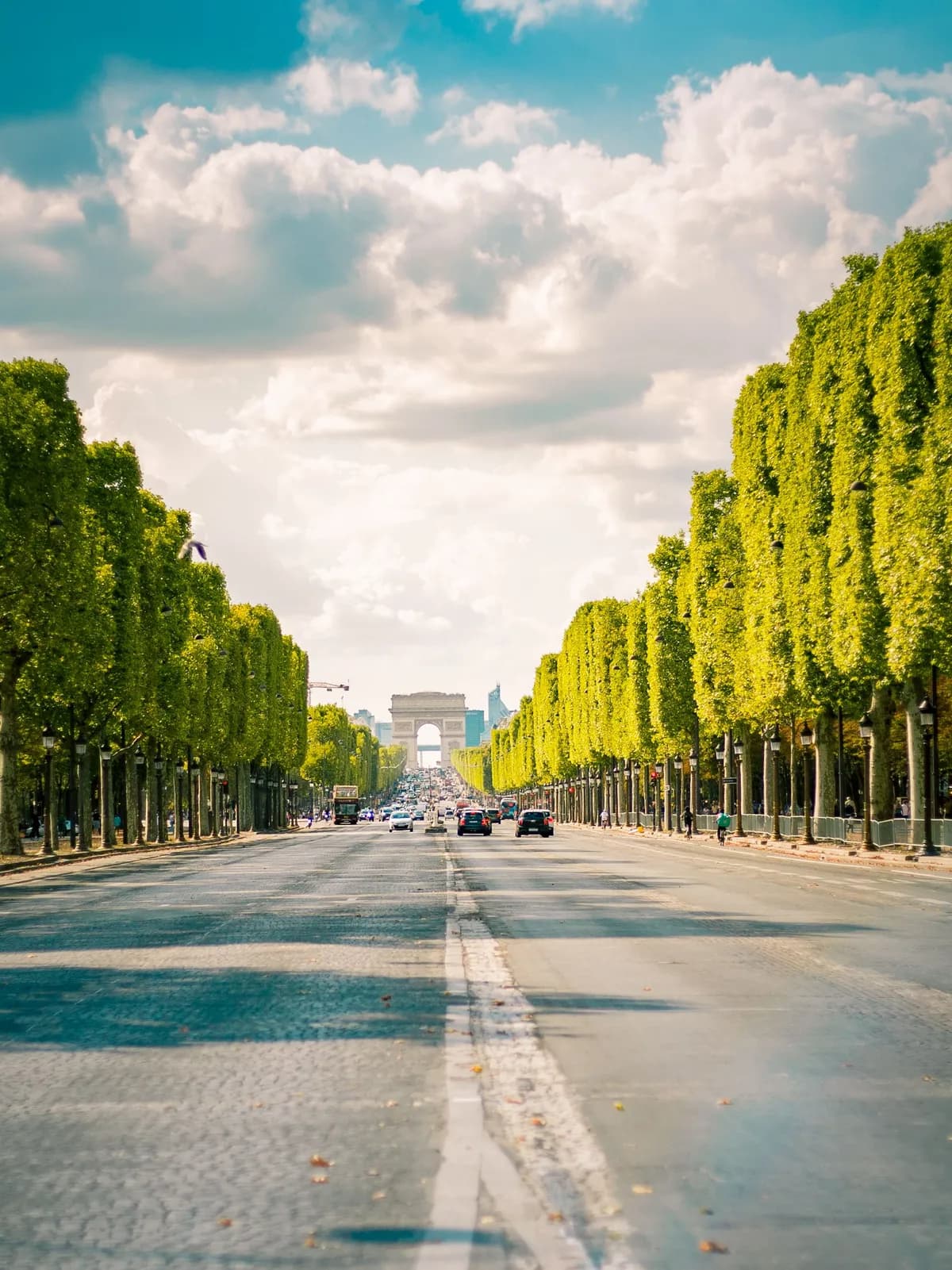 Avenue des Champs-Elysees