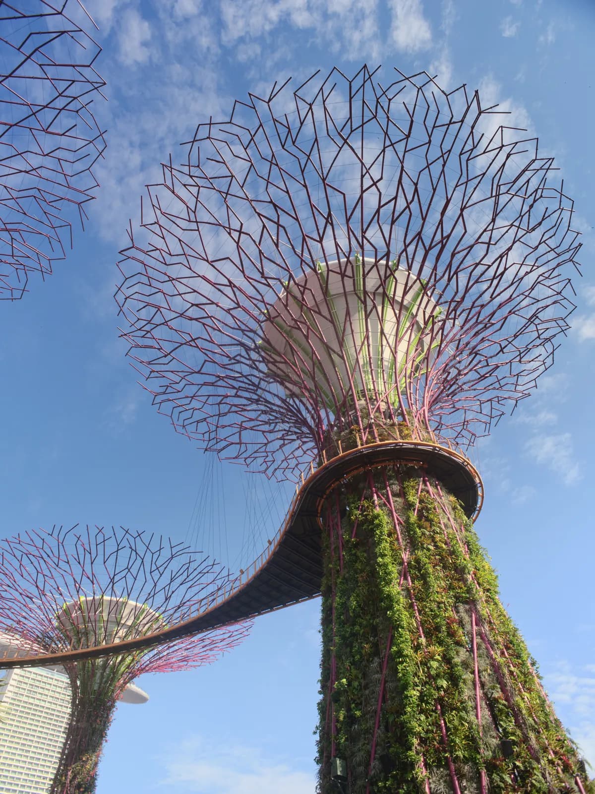 Gardens by the Bay