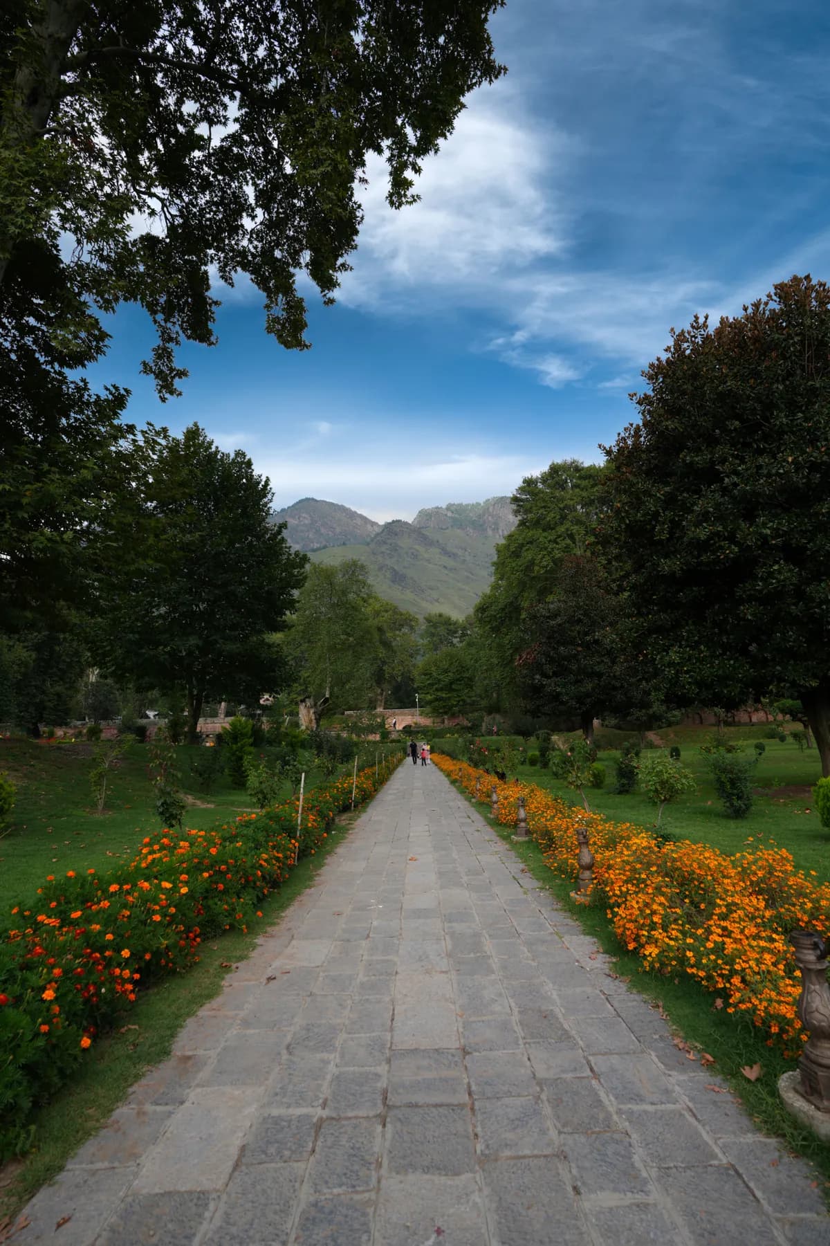 Nishat Bagh (Mughal Gardens)