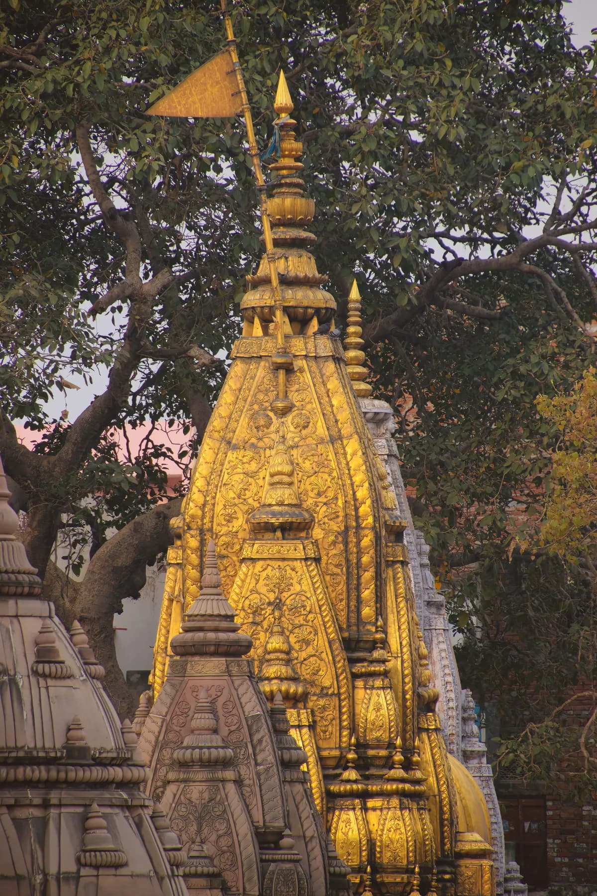 Kashi Vishwanath Temple