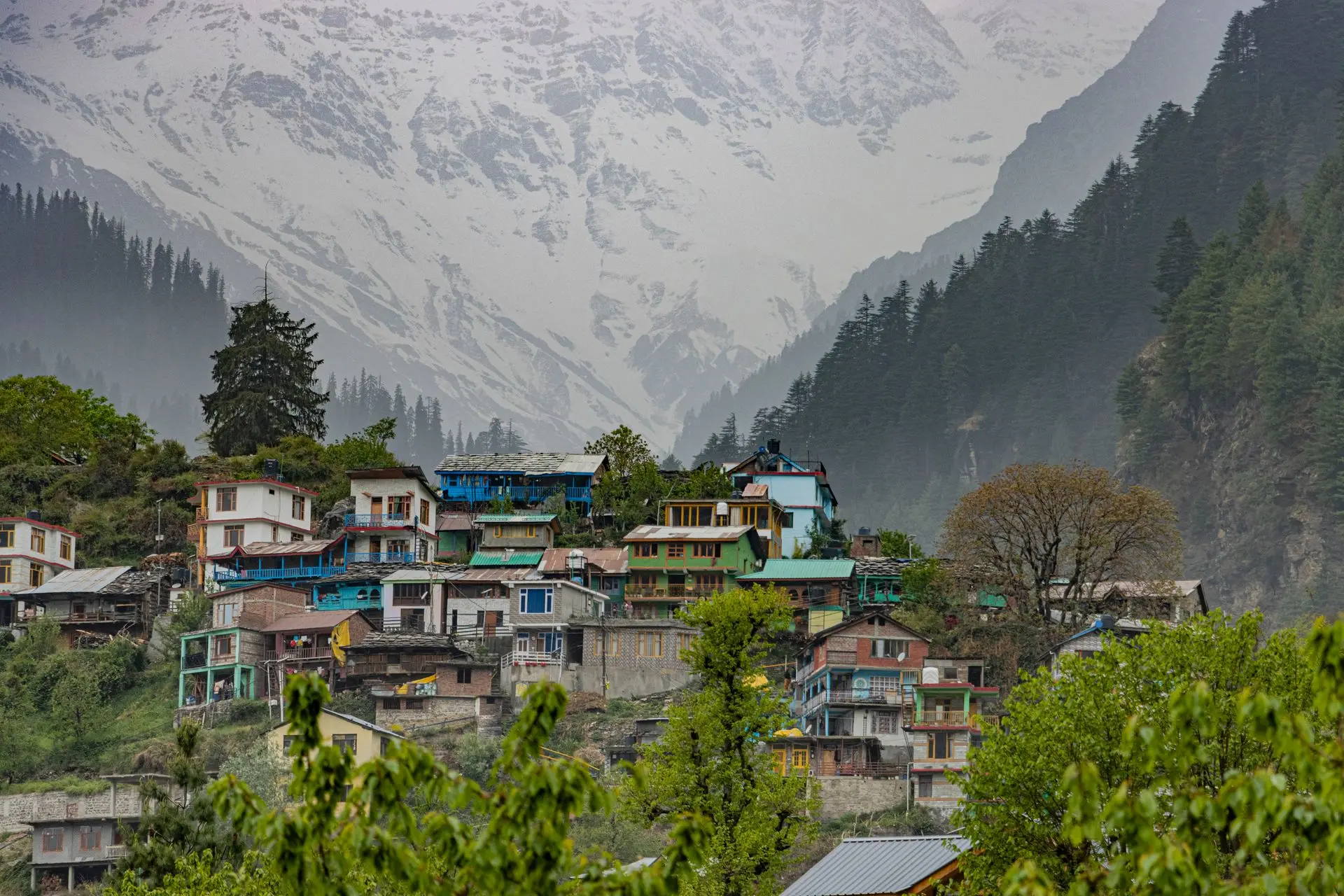 Snowfall at Manali